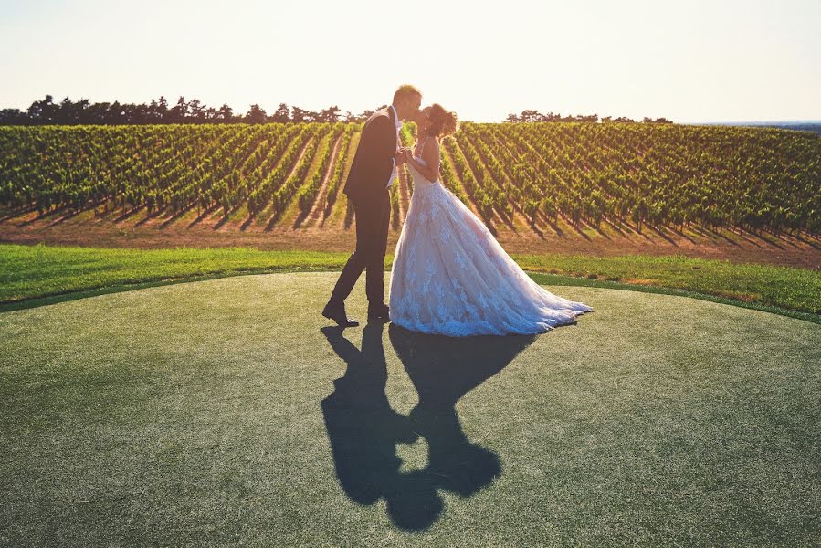 Fotografo di matrimoni Nikola Segan (nikolasegan). Foto del 10 agosto 2017