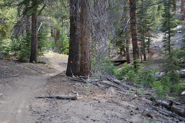 motorcycle trail with a bridge