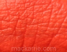 c_BengalTigerRetroMatteLiquidLipcolourMAC1