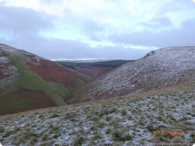 windy gyle 024