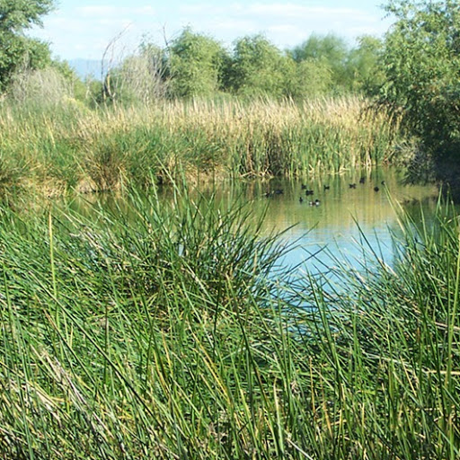 Sweetwater Wetlands Park logo