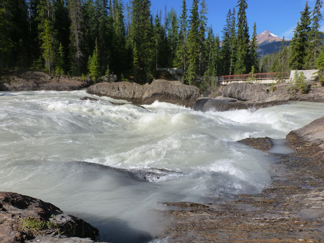 PN de Yoho: Natural Bridge. Lake Emerald. Takakka Falls. Laughing Falls. 3 de Ju - LAS ROCOSAS DE CANADA. YELLOWSTONE Y GRAND TETON. (3)