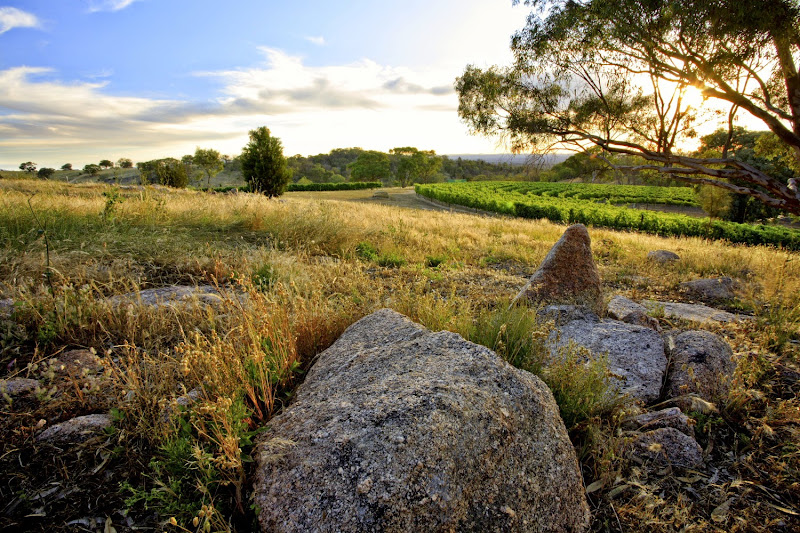 Main image of Giaconda vineyard & winery