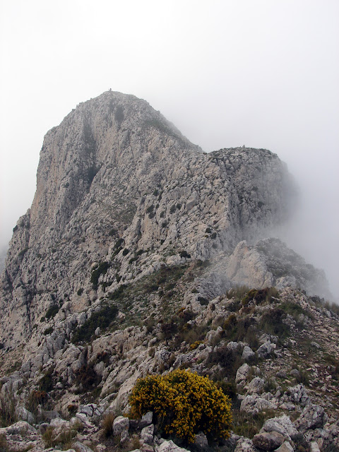 Bernia por el Portixol