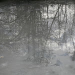 Forêt régionale du Gros Bois