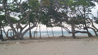 Photos of Black Beards Resort