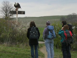 DSCF0562 Bald Eagle greeting visitors to Eagle Heights