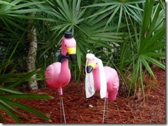 Pink flamingos ready for the wedding