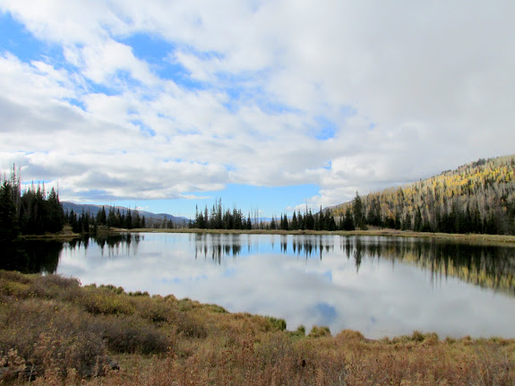 Potter's Ponds