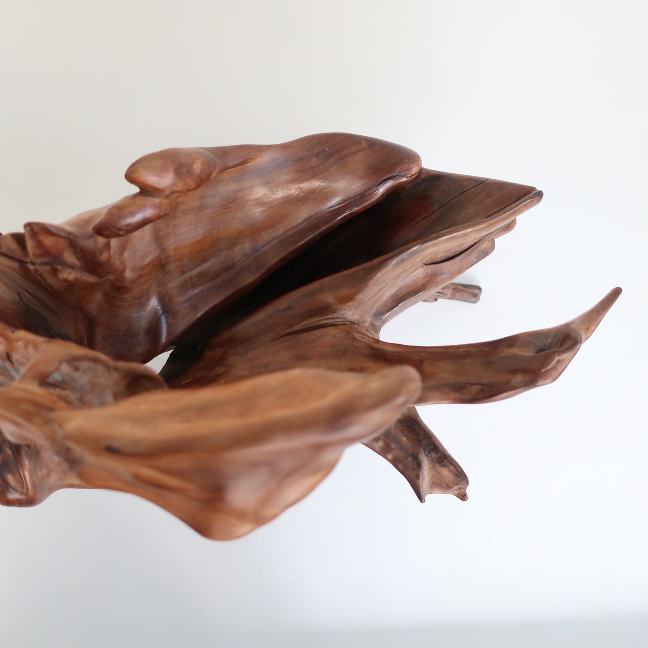 Don B. Signed Sculptural Driftwood