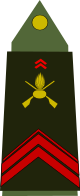 파일:external/upload.wikimedia.org/80px-Army-FRA-OR-03.svg.png