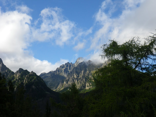 IMGP1291.JPG