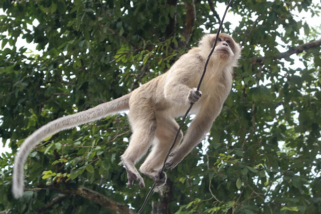 AO NANG: TIGER CAVE TEMPLE, EMERALD POOL Y HOT SPRING - TAILANDIA Y ANGKOR: BIENVENIDOS A ASIA (6)