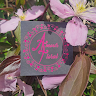 Amour floral