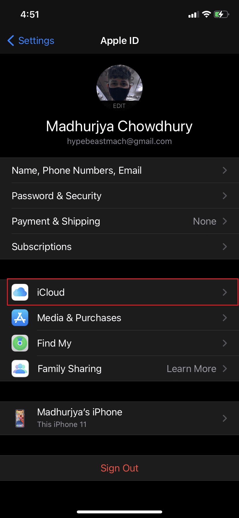 点击 iCloud，然后点击照片。 修复 iCloud 照片不同步到 PC