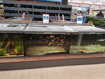 Photos of Garden Center Borghuis