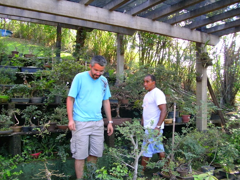 Encontro no Sítio do Bonsai em Niteroí... - Página 2 PICT1160