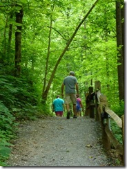 Nice trail to Carter Cabin