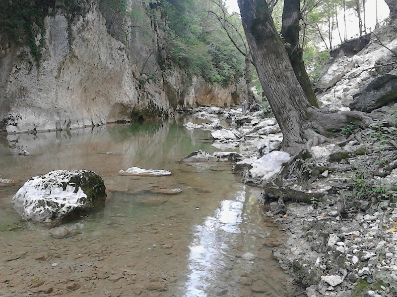 autunno e il fiume di fiorella_simonicca