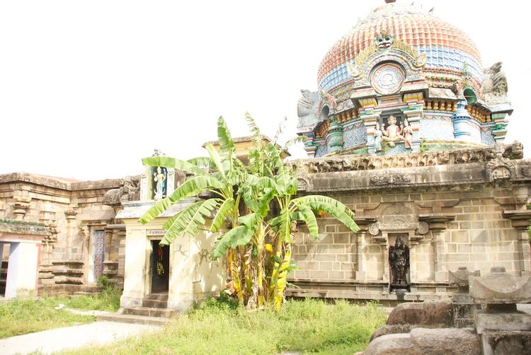 Sri Natrunaiyappar Temple, Thirunanipalli (Ponsei), Mayiladuthurai - 275 Shiva Temples