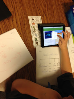 Toad Ally Exceptional Learners Differentiation