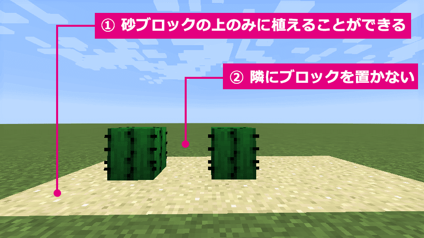 サボテンの基本的な植え方と素早い回収方法 マイクラ Craft Life