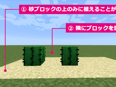 コンプリート！ マイクラ サボテン 育て方 282699-マイクラ サボテン 育て方