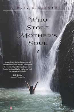 Who Stole Mother's Soul? cover