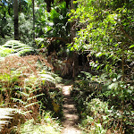 Start of the The Palm Tree Circuit Walk (248329)