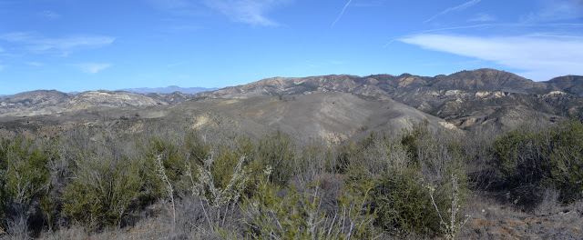 hills of dead grass