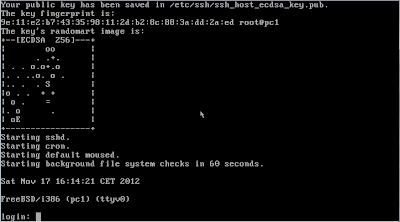 Guía de instalación de FreeBSD (Parte I)