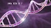 DNA कया होता है | DNA ki full form kya h | डीएनए की खोज किसने की |