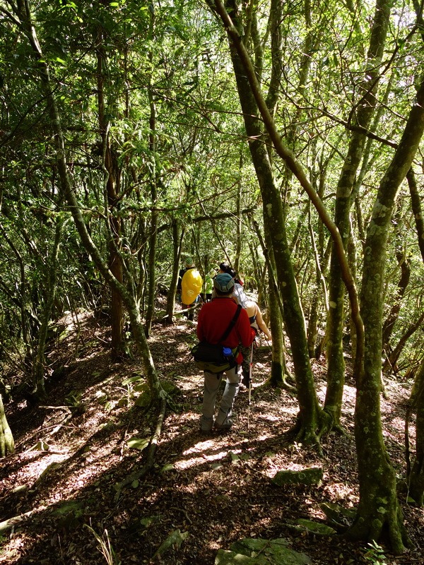 2014_0101-0105 萬山神石、萬山岩雕順訪萬頭蘭山_0404