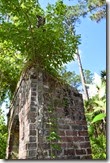 Tree and poison ivy on chimney