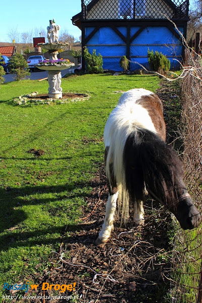 Kaszubski Park Miniatur Strysza Buda - kucyk