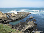 Views from Tomales Point