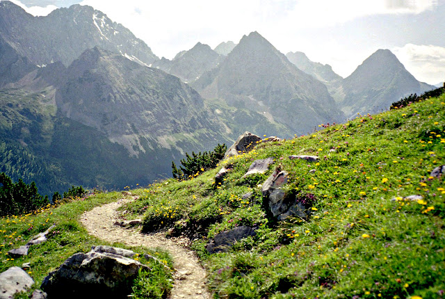 Wandern Ehrwald Ehrwalder Alm Feldernalm Feldernjöchl