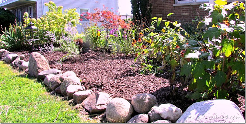 Showcasing the colors of a Fall Garden