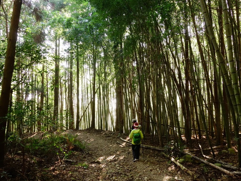 2014_0118 鳶嘴山西北稜→大崠山來回_084