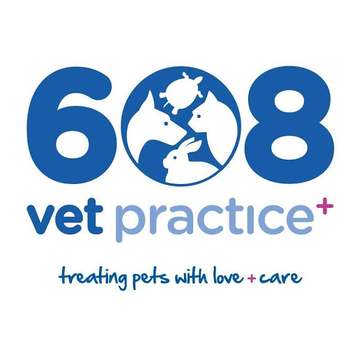 608 Vets in Bentley Heath logo