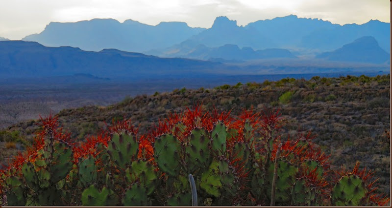 Big Bend13-5 Apr 2016