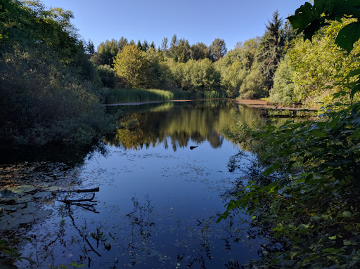 Park «West Hylebos Wetlands Park», reviews and photos, 411 S 348th St, Federal Way, WA 98003, USA