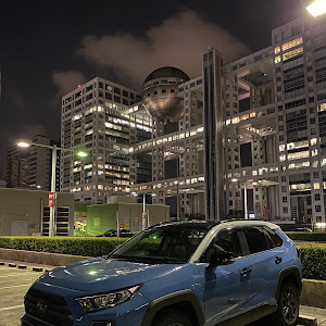 RAV4 MXAA54