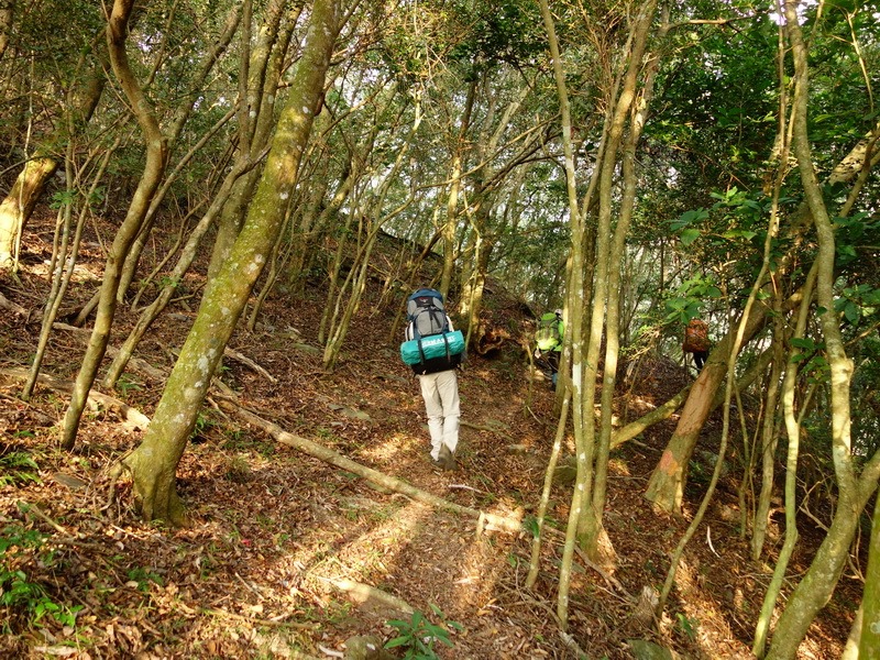 2014_0101-0105 萬山神石、萬山岩雕順訪萬頭蘭山_0153