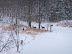 Deer Really Do Love It