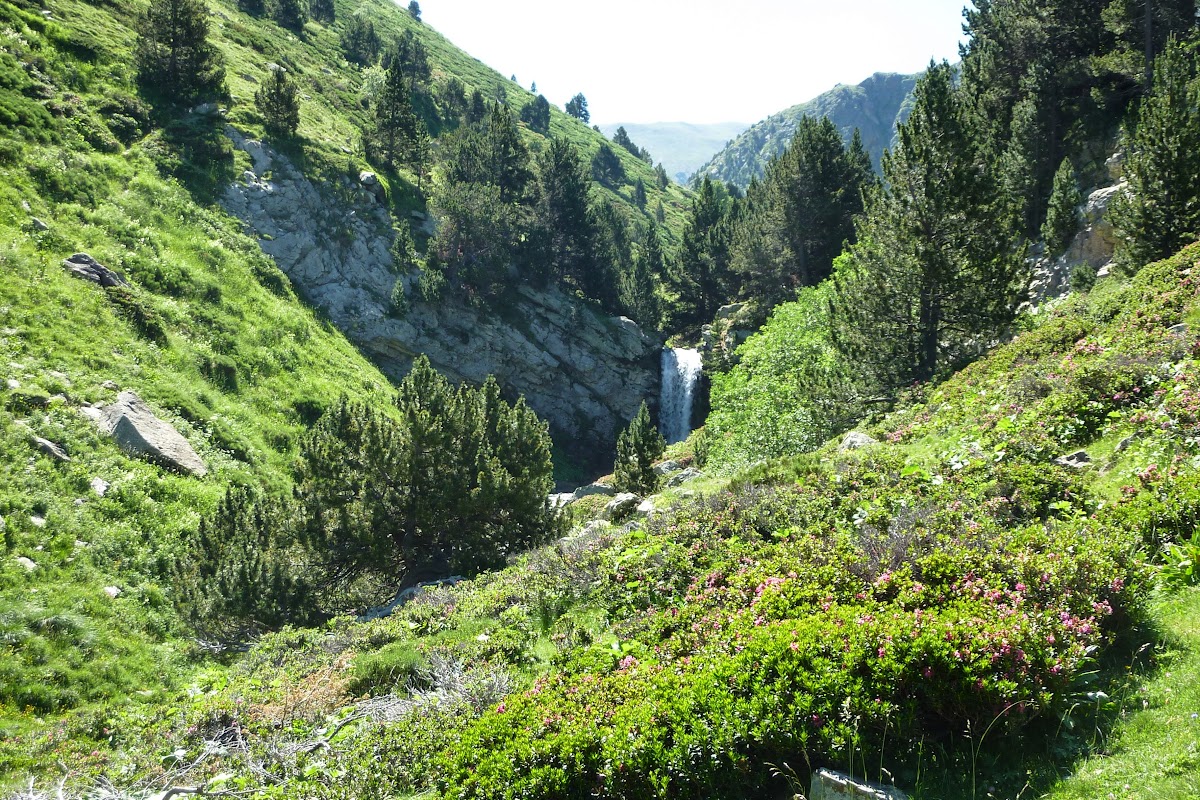 P1020133.JPG