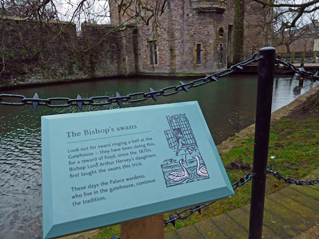 WELLS. La ciudad más pequeña de Inglaterra - ESCAPADAS POR EL REINO UNIDO (8)