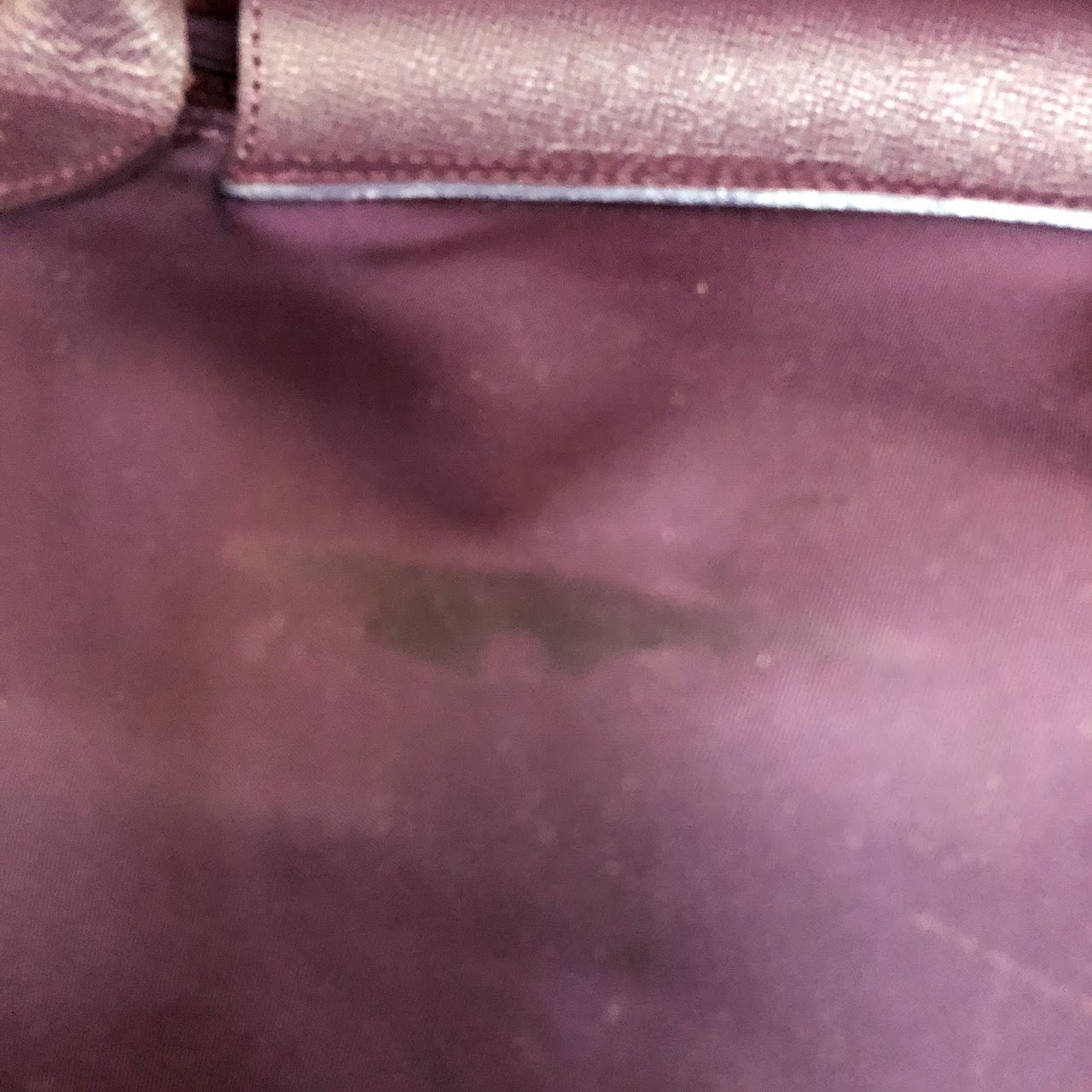 Longchamp Plumb Bag