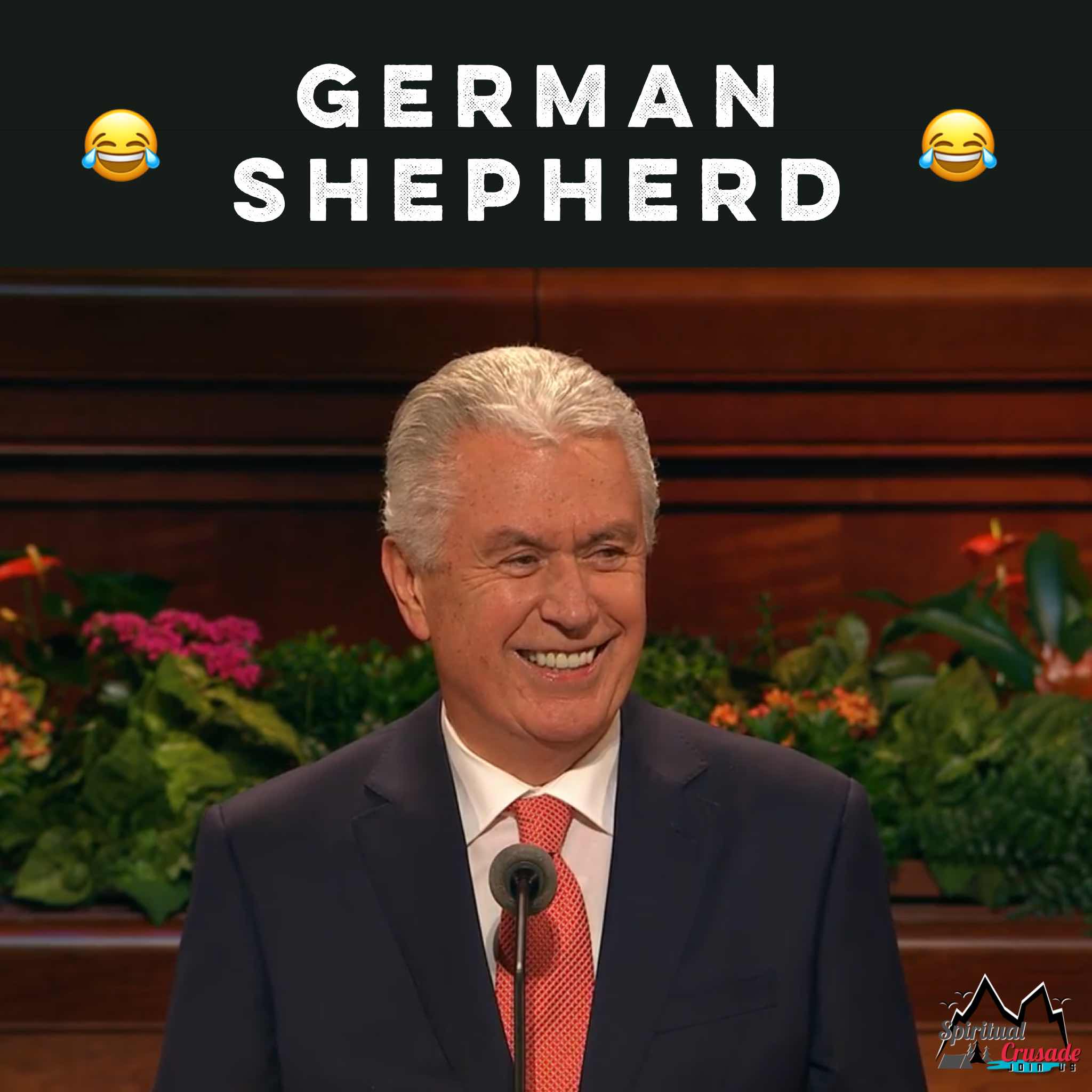 Conference Humor – Gernan Shepherd