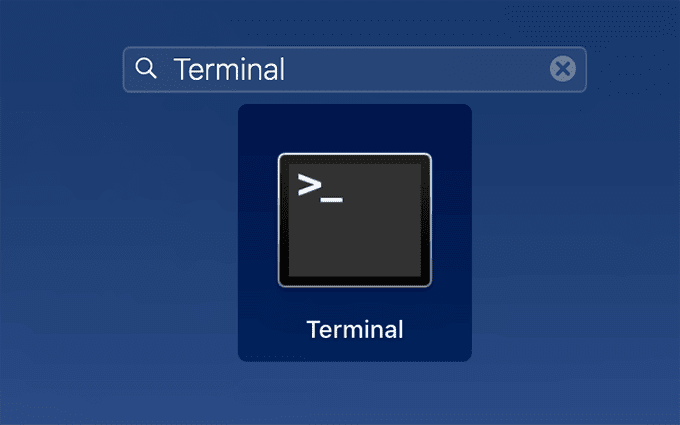 Terminal en la barra de búsqueda